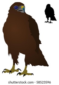 vectors Steppe Eagle