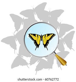 vectors swallowtail under  magnifier