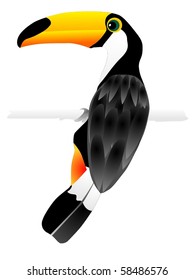 vectors  toucan