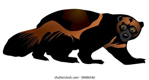  vectors wolverine