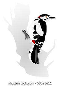 vectors woodpecker