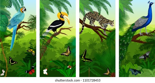 Vectorset Jungle Rainforest Vertical Baners Clouded Stock Vector ...