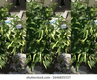 Vector-style illustration of a green chili pepper plant thriving in a garden setting. The image captures vibrant chili pods hanging among lush green leaves, ideal for themes related to agriculture