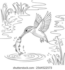 A vector-style illustration of a kingfisher in mid-air, diving to catch a fish in a calm river.