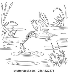 A vector-style illustration of a kingfisher in mid-air, diving to catch a fish in a calm river.