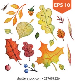 Vector.Watercolor autumn leaves,berries set.Hand drawing isolated objects on white background. Autumn harvest illustration. No transparent,blend,mesh.All objects in the group.