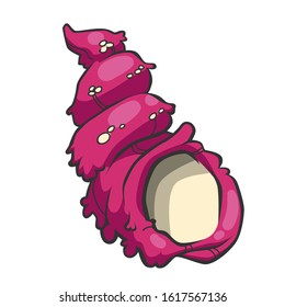 Vectpr isolated pink sea shell in cartoon style for underwater illustration