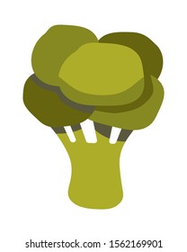 Vectron illustration of a green broccoli cabbage inflorescence. Good healthy food for vegans. Minimalistic flat hand drawn style icon.