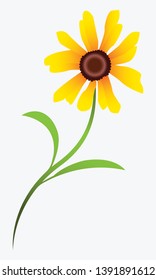 Vectror of Sunflower head, stem and leaf Isolated