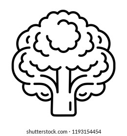Vegan broccoli icon. Outline vegan broccoli vector icon for web design isolated on white background