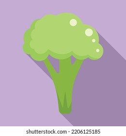 Vegan brocoli icon flat vector. Vegetable cabbage. Plant salad