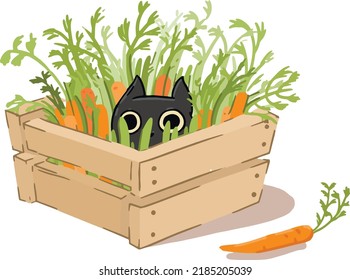 vegan cat in carrot box vector