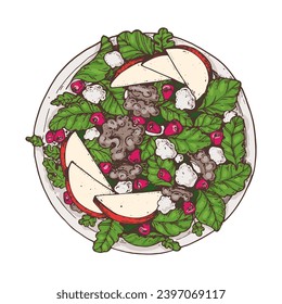 Plato vegano. Ilustración vectorial dibujada a mano. Alimentos saludables. Ensalada con verduras, manzana cortada, semillas granadas y nueces. 