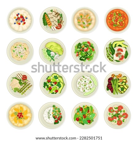Vegan Dishes and Main Courses with Grilled Vegetables, Fresh Salad and Pasta Big Vector Set