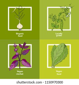 Vegan farmer market card with fresh vegetables. Hand drawn vector botanical illustration