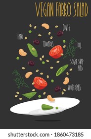 Vegan Farro Salad. Vector Illustration