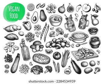 Vegan food big collection. Ink sketches isolated on white background. Hand drawn vector illustration. Vintage style stroke drawing.