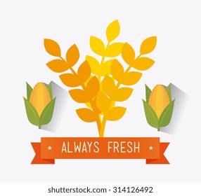 Vegan food design, vector illustration eps 10.