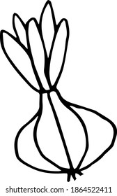 Vegan food doodle pattern with vegetables and fruit sketch. Hand drawn trendy background, 
design background greeting cards, invitations, fabric, textiles, packaging, wallpaper, posters and stickers.