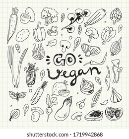 Vegan Food Doodles. Hand Drawn Vegetables. Corn,Potato,Mushroom,Olives,Tomato,Garlic,Onion,Eggplant,Peas,Broccoli,Papaya,Beet,Carrot,Hot Pepper.