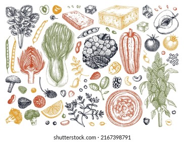 Vegan Food Illustrations Set In Color. Healthy Food Illustrations. Hand-drawn Vegan Meals And Ingredients For Menu, Recipe, Packaging Design. Vegan Food, Nuts, Seeds, Fruits, Veggies, Tofu Sketch