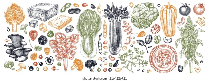 Montaje de ilustraciones de comida vegana. Colección de ilustraciones de alimentos saludables. Comidas veganas a mano e ingredientes para menú, receta, diseño de empaque. Comida vegana, nueces, semillas, frutas, verduras, bocetos de tofu