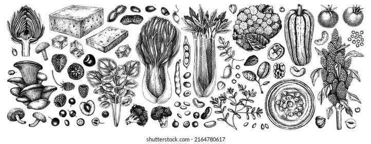 Vegan food illustrations set. Healthy food illustrations collection. Hand-drawn vegan meals and ingredients for menu, recipe, packaging design. Vegan food, nuts, seeds, fruits, veggies, tofu sketches