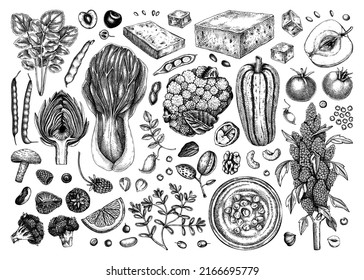 Vegan food illustrations set. Healthy eating sketches. Hand-drawn vegan meals and ingredients for menu, recipe, and packaging design. Vegan food, nuts, seeds, fruits, veggies, and tofu sketched design