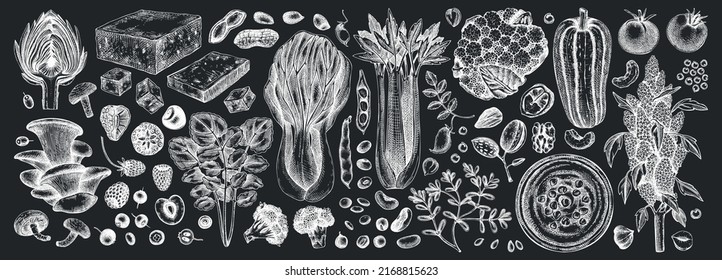 Vegan Food Illustrations Set On Chalkboard. Healthy Food Drawings Collection. Hand-drawn Vegan Meals And Ingredients For Menu, Recipe, And Packaging. Vegan Food, Nuts, Seeds, Fruits, Veggies Ketches