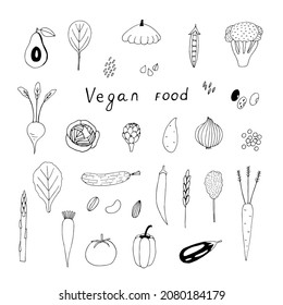Vegan food set vector illustration  hand drawing doodles