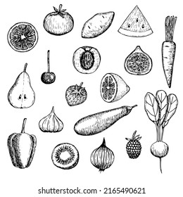 Vegan food set vector illustration, hand drawing sketch