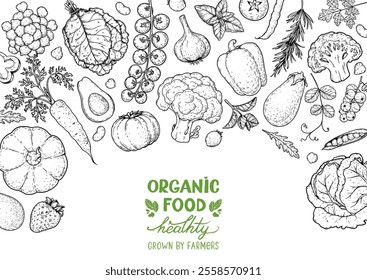 Vegan food sketch. Organic food set. Healthy food frame vector illustration. Vegetables and fruits sketch. Hand drawn vector illustration.