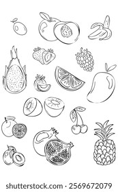 Vegan food sketch. Organic food set. Healthy food frame vector illustration. Fruits sketch. Hand drawn vector illustration.