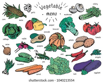 Vegan food, vegetable menu, garlic, mushroom, tomato, arugula, cucumber, pepper,  corn, carrot, potato, broccoli, avocado, radish, chili, pumpkin, eggplant, celery, onion, maize, cabbage, leek, pea