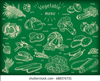Vegan food, vegetable menu, garlic, mushroom, tomato, arugula, cucumber, pepper,  corn, carrot, potato, broccoli, avocado, radish, chili, pumpkin, eggplant, celery, onion, maize, cabbage, leek, pea
