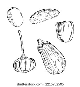 Vegan food vegetables set vector illustration, hand drawing