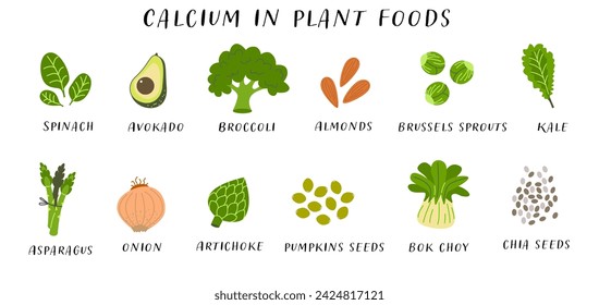 Alimentos veganos ricos en calcio. Concepto de dieta saludable nutricional para diseño e impresión. Ilustración vectorial plana de espinacas, aguacate, brócoli, almendras, coles de Bruselas, col rizada y espárragos