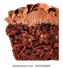 Vegan Gluten Chocolate Cupcakes vector food