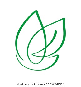 Vegan green leaf nature vector logo template design calligraphy illustration, food design. Handwritten lettering for restaurant, cafe raw menu. Elements for labels, logos, badges, stickers or icons