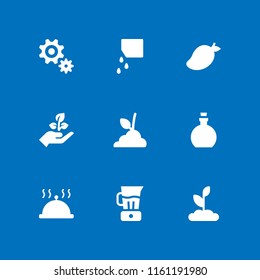 vegan icon. 9 vegan set with mango, sprout, olive oil and nut vector icons for web and mobile app