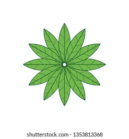 Vegan icon green leaf label template for vegan or vegetarian food package design. Isolated green leaf icon for vegetarian bio nutrition and healthy diet or vegan restaurant menu symbols set