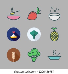 vegan icon set. vector set about pineapple, radish, cereal and porridge icons set.