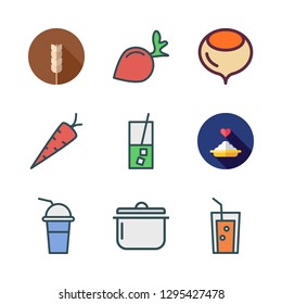 vegan icon set. vector set about soup, seasoning icon, juice and porridge icons set.