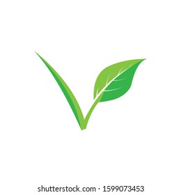 Vegan icon Vector Illustration design Logo template