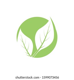 Vegan icon Vector Illustration design Logo template