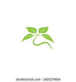 Vegan icon Vector Illustration design Logo template