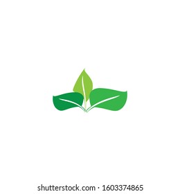 Vegan icon Vector Illustration design Logo template