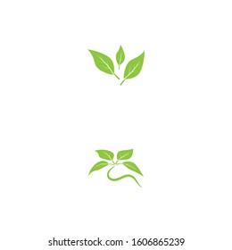Vegan icon Vector Illustration design Logo template