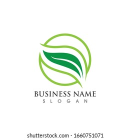 vegan leaf vector logo and symbol 