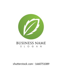 vegan leaf vector logo and symbol 